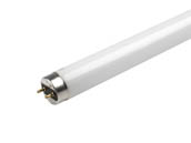 Halco Lighting HAL109428 F32T8/865/ECO Halco 32W 48in T8 Daylight Fluorescent Tube